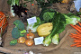 Výstava ovoce a zeleniny